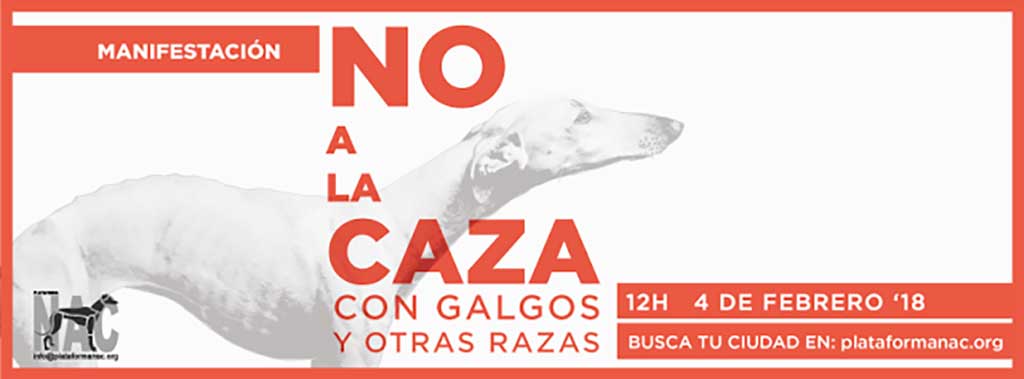 Manifestaciones “No a la caza con galgos y otras razas” en 31 ciudades españolas y varias europeas