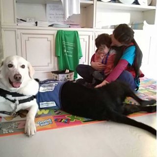 Proyecto “Un perro, un niño feliz“