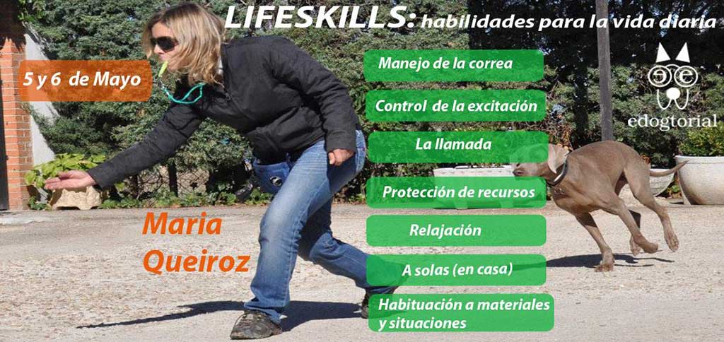 Lifeskills (habilidades para la vida diaria), curso que se celebrará los próximos 5 y 6 de mayo en Madrid