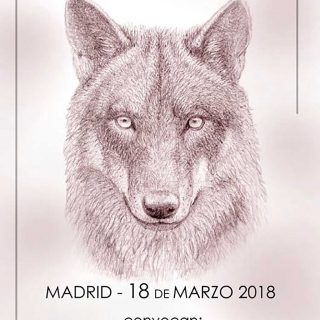 Manifestación en defensa del lobo ibérico en Madrid