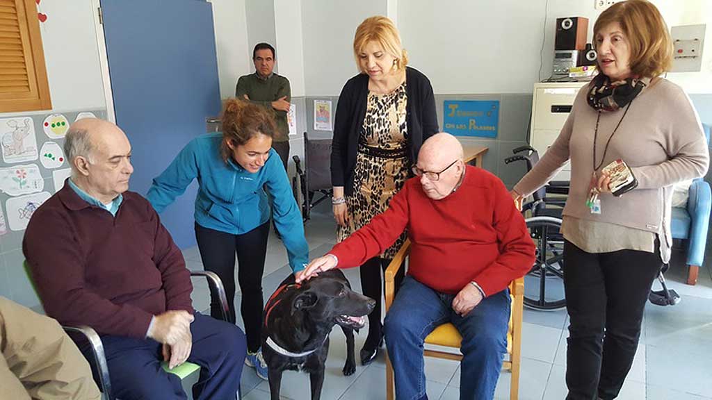 terapia con animales para personas mayores en la residencia Virgen del Valle de Murcia.