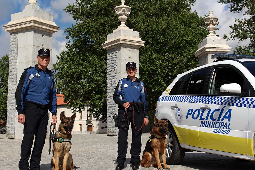 Musicoterapia para los perros de la Policía Municipal de Madrid