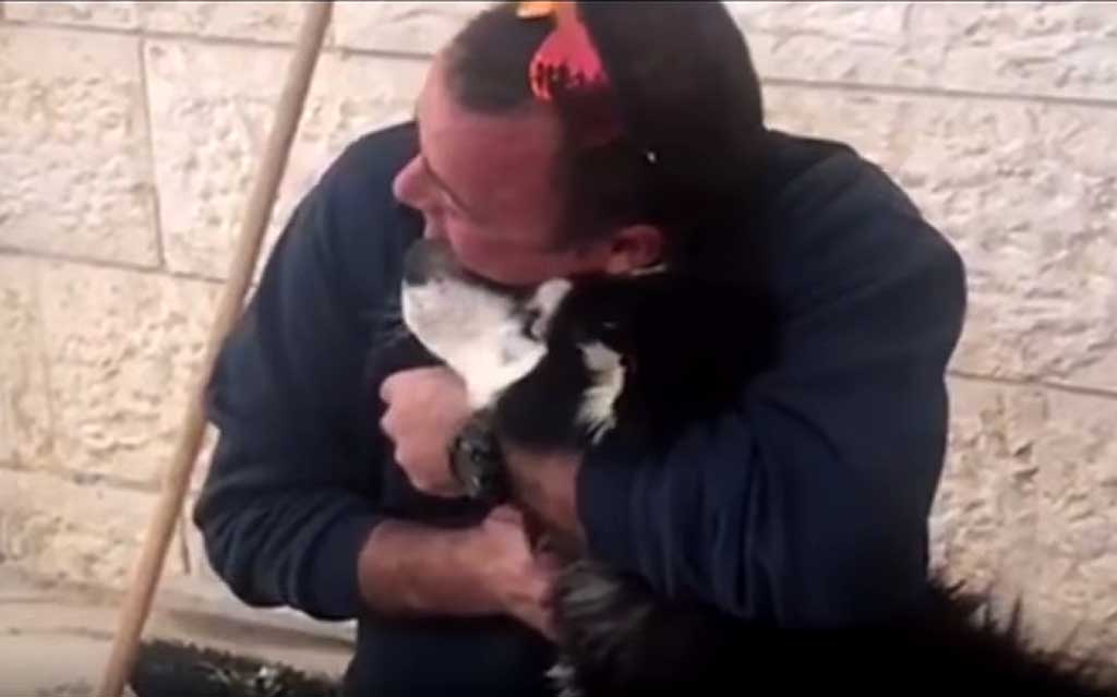 Un perro perdido es localizado e identificado gracias a las canciones que le gustan para aullar. Vídeo #viral de la policía israelí.
