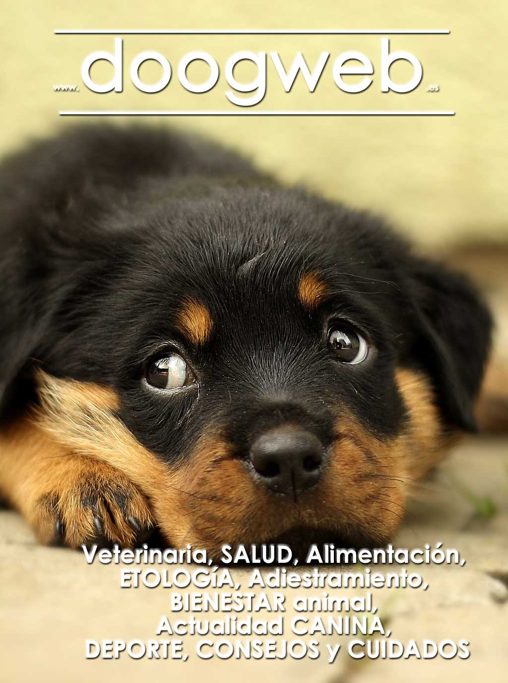 Revista de perros de Doogweb, mayo 2018.