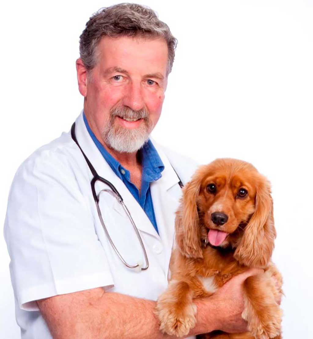 Dr Ian Billinghurst: El camino dorado hacia la salud, la longevidad y la ausencia de enfermedad en perros