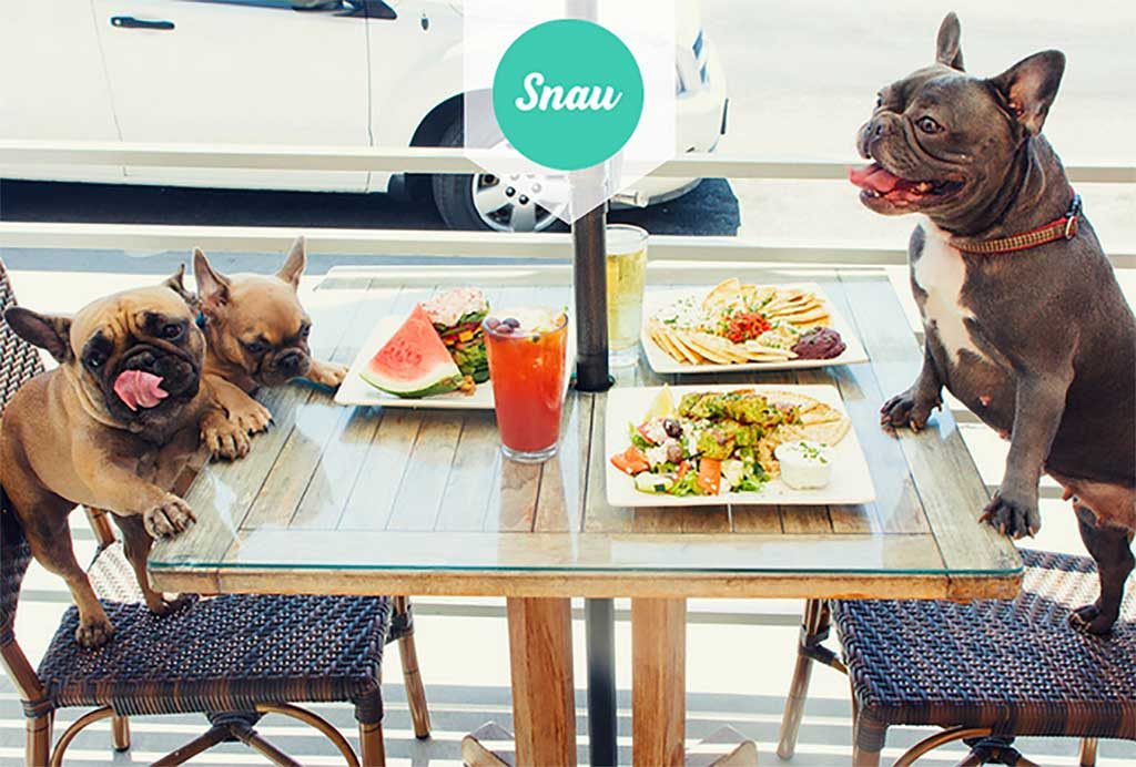 Ranking de restaurantes Dog friendly de Madrid www.doogweb.es