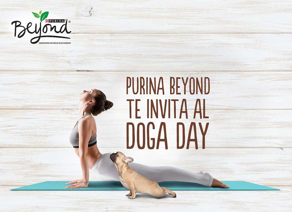 Doga. Master Class de yoga en Alcorcón.