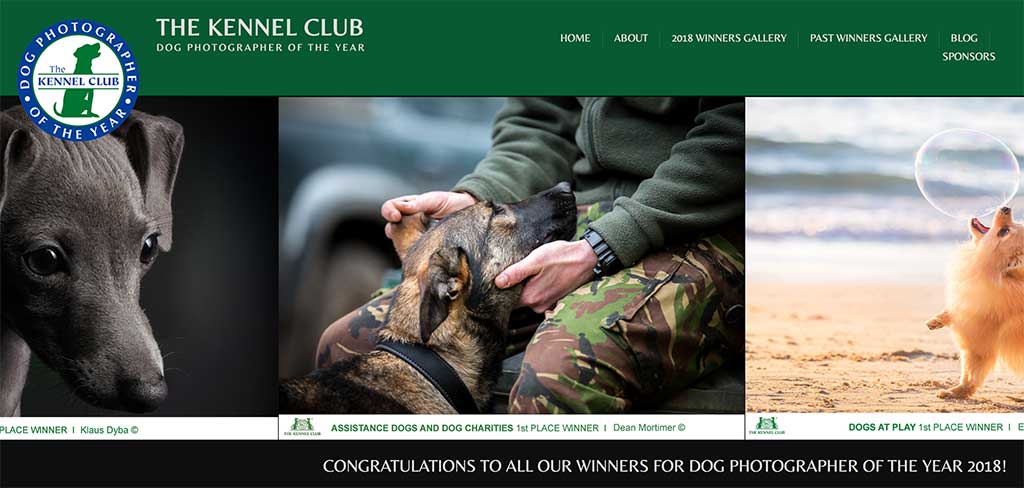 El Kennel Club ha anunciado los ganadores de "Fotógrafo de perros del año".