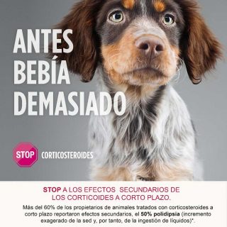 Stop a los efectos secundarios en animales de los corticosteroides a corto plazo.
