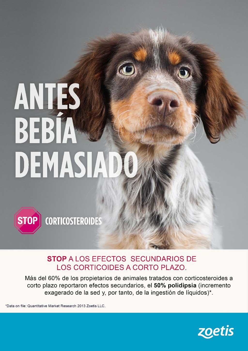 Stop a los efectos secundarios en animales de los corticosteroides a corto plazo.