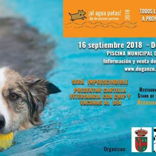 Al Agua Patas 2018.