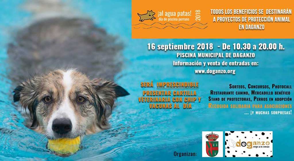 Estados Unidos Apretar roble Al Agua Patas 2018, piscina para perros en Daganzo (Madrid) - www.doogweb.es