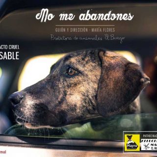 Campaña "No me abandones".