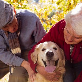 Beneficios de incorporar una mascota en casa para las personas mayores.