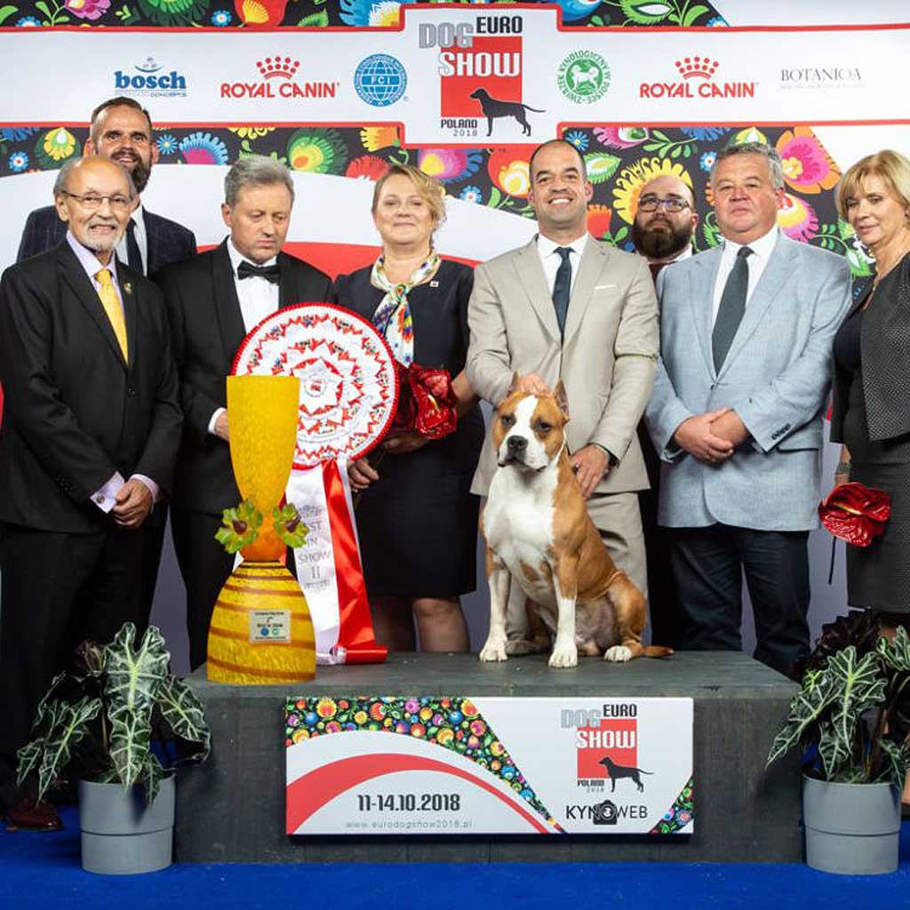 2º mejor puesto en la Exposición Canina Europea de Varsovia