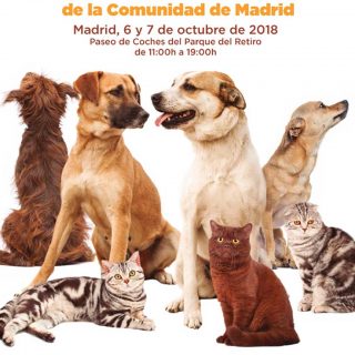 XIII Salón para la Adopción de Animales de Compañía de la Comunidad de Madrid