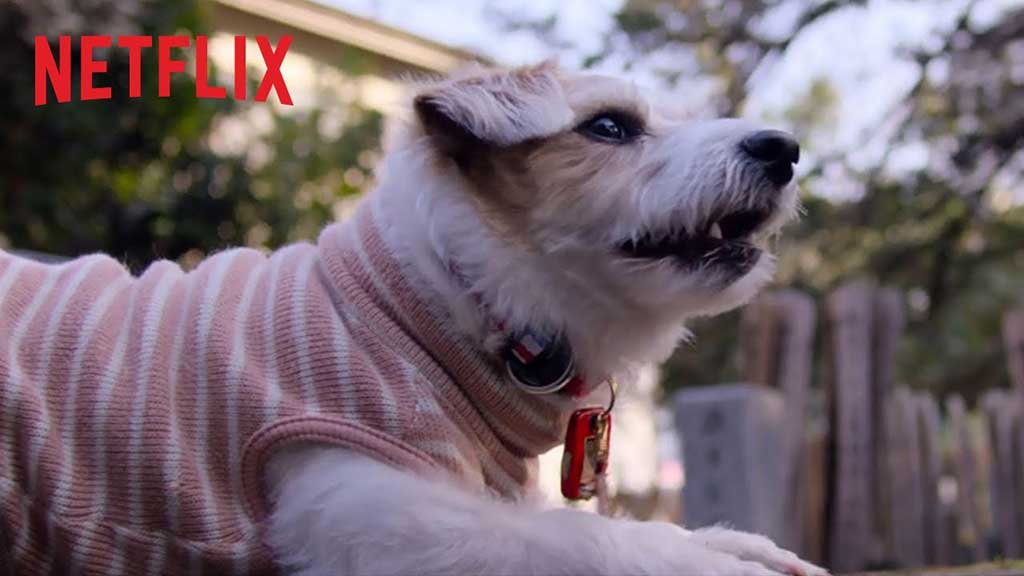 Amigos caninos, en Netflix.
