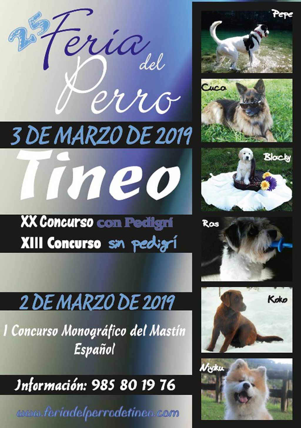 XXV Feria del Perro y concursos caninos en Tineo.