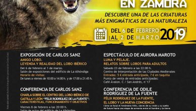 Primeras Jornadas del Lobo Ibérico en Zamora.