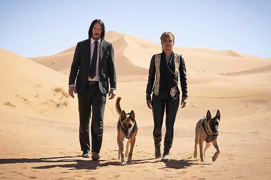 Perros de John Wick 3, peligro para el malinois www