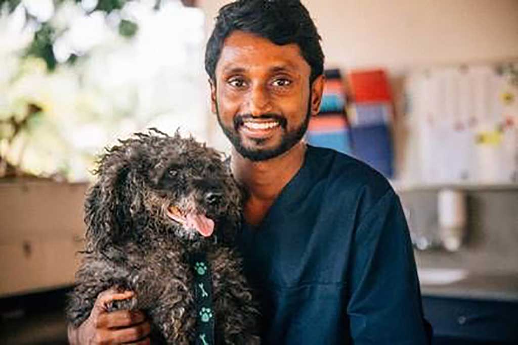The Dog Care Clinic, una segunda oportunidad a los perros callejeros de Sri Lanka.