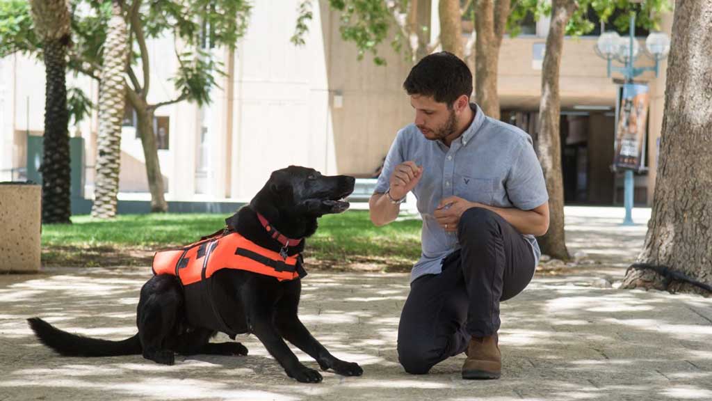 Chaleco "táctil" para comunicarse con los perros de rescate