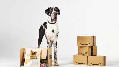 El 52% de los españoles prefiere a sus animales de compañía a los seres humanos, según un estudio realizado por Amazon.