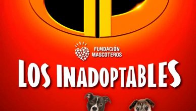 ‘Fundación Mascoteros’ y ‘Como el perro y el Gato’ lanzan la campaña #SoyInadoptable.