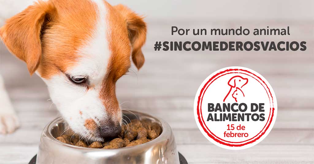 Banco de Alimentos de Fundación Kiwoko en todas las tiendas Kiwoko