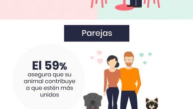 Humanos enamorados, San Valentín y las mascotas.
