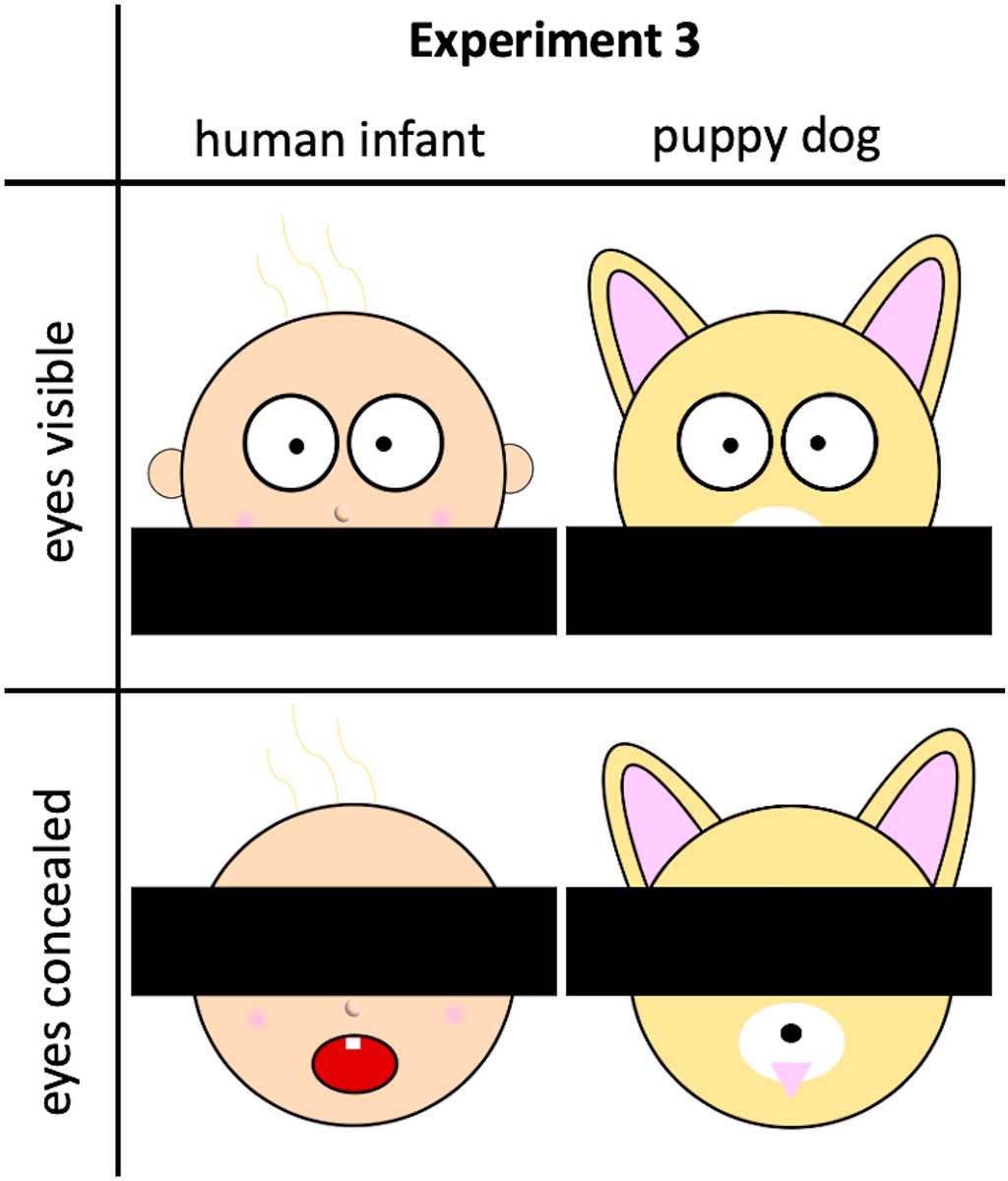 La percepción de los ojos de los bebés humanos o no humanos juega un papel importante en la orientación de las evaluaciones, este efecto puede reflejar información diagnóstica implícita en las propiedades físicas de los ojos; pero también es posible que los ojos pueden ser influyentes, porque la mirada puede proporcionar información sobre los estados mentales de los individuos.