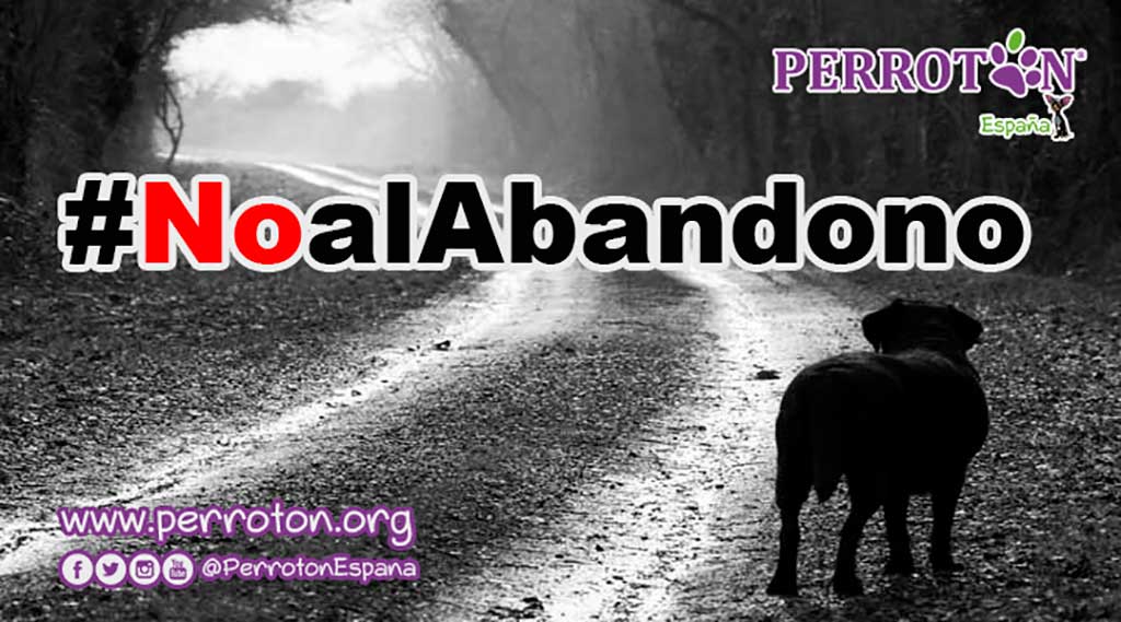 Perrotón España presenta campaña contra el abandono animal en plena crisis del COVID-19