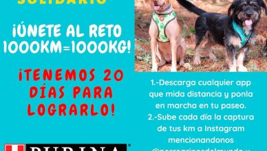 Purina y PeRRegrinos del Mundo lanzan la iniciativa #retoCaminoSolidario.