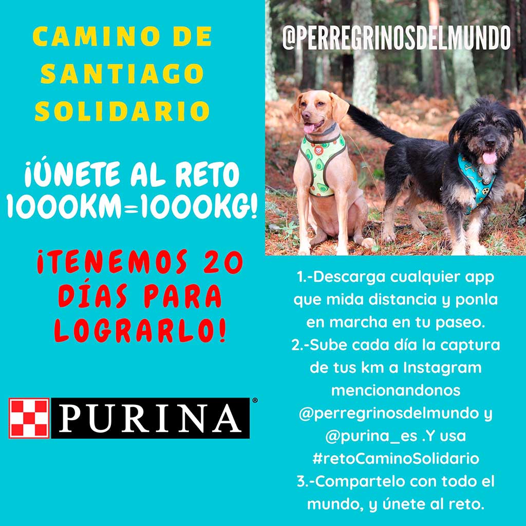 Purina y PeRRegrinos del Mundo lanzan la iniciativa #retoCaminoSolidario.