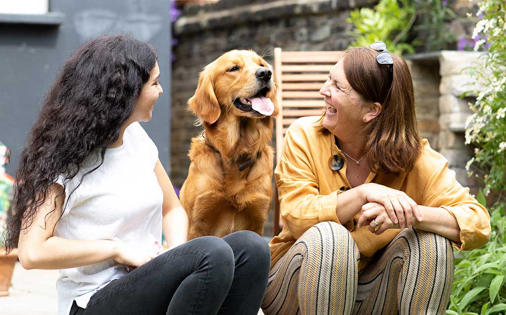 2021 dará visibilidad a los beneficios de la tenencia de mascotas - www.doogweb.es