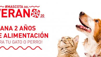 #Mascotadelverano20 seleccionará las mejores fotografías veraniegas de gato y de perro.