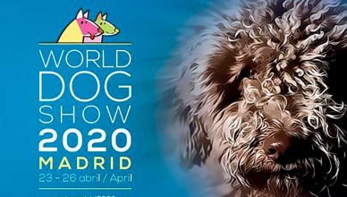 World Dog Show 2020, ¿por fin en diciembre? Todo apunta a que sí.