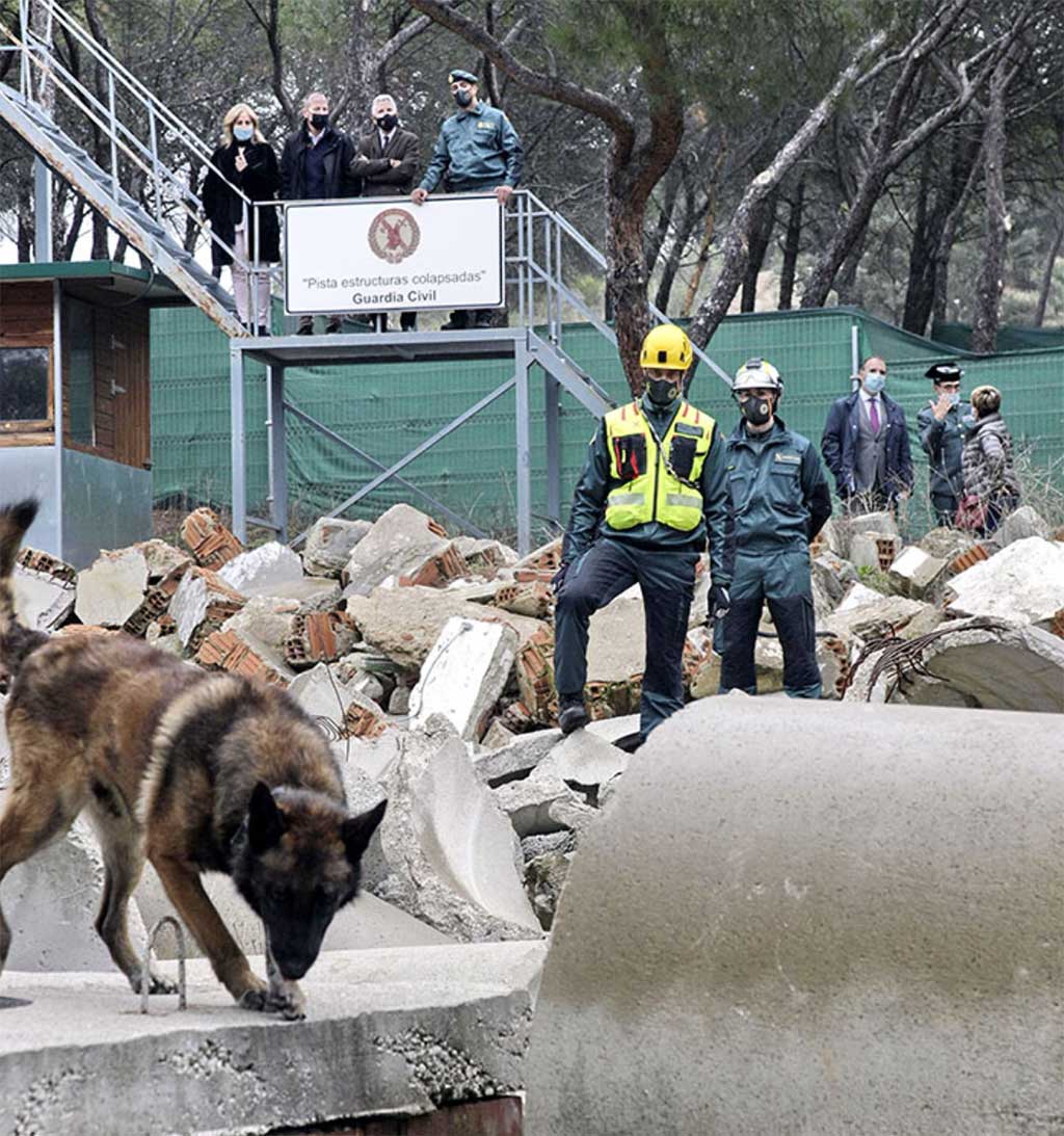 Grande-Marlaska visita las instalaciones del Servicio Cinológico de la Guardia Civil La directora general del cuerpo, María Gámez, ha acompañado al ministro en su visita el centro en el que se forma al personal de la Guardia Civil en adiestramiento de perros para seguridad y rescate, detectores de explosivos y detectores de drogas.