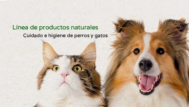 Disane donará sus ventas online del Black Friday a una protectora de animales.