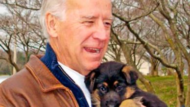 Con el mensaje "Adopta no compres", Joe Biden, el nuevo presidente de EE.UU. presume del primer perro adoptado que llegará a la Casa Blanca.