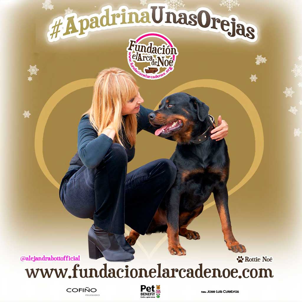 #ApadrinaUnasOrejas, campaña abanderada por Alejandra Botto y la Fundación El Arca de Noé.