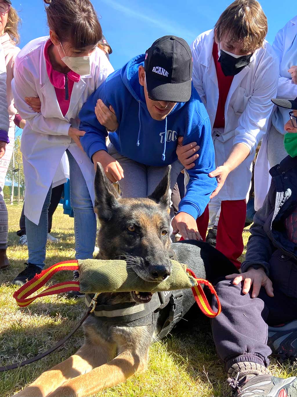 Los perros entran en el centro ocupacional de Jardines de España.