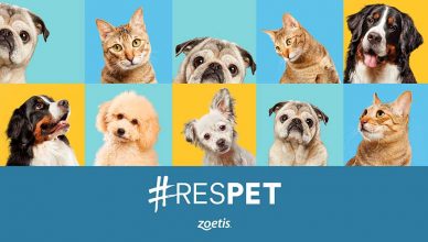 Anita, Jako, Lokyta y Dorm: historias reales e inspiradoras reflejo de #RESPET.