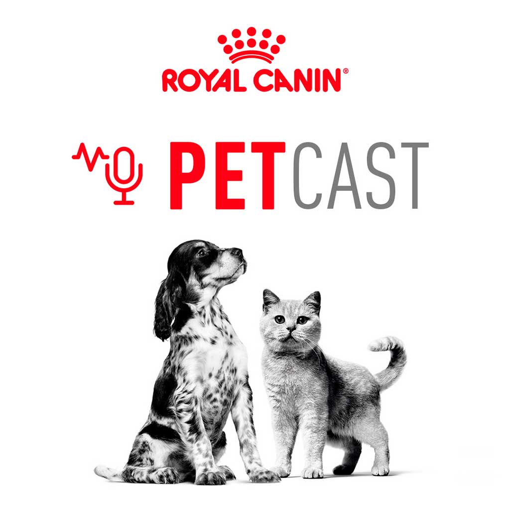 Nuevo canal Petcast by Royal Canin, con Toni Acosta.