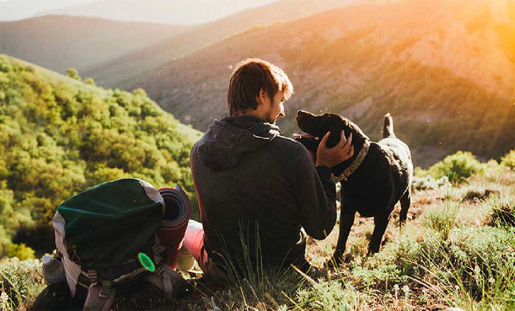 Nestlé Purina en colaboración con Carrefour: “Planta un árbol con Purina”.