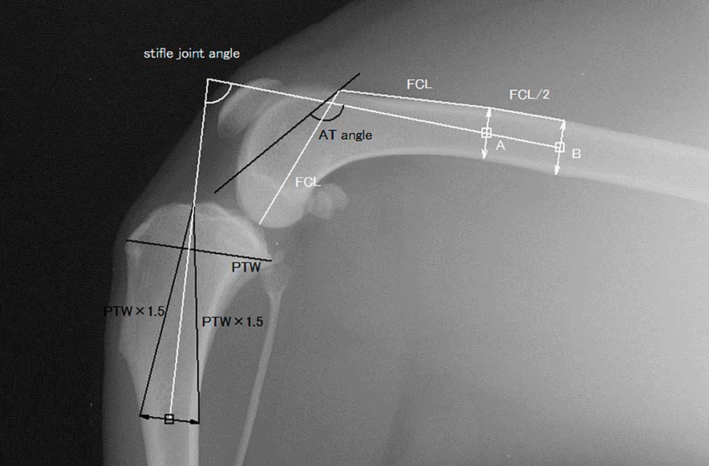 Veterinaria: Luxación de rótula en perros pequeños y "mini".