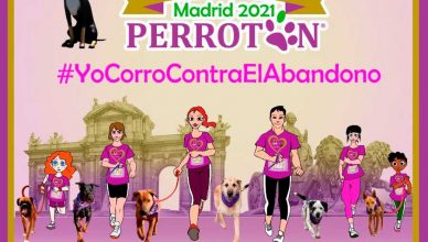 Los internacionales Victorio & Lucchino diseñan la camiseta oficial de Perrotón Madrid 2021, en su 10º Aniversario, apoyando la adopción y tenencia responsable y la lucha contra el abandono y el maltrato animal