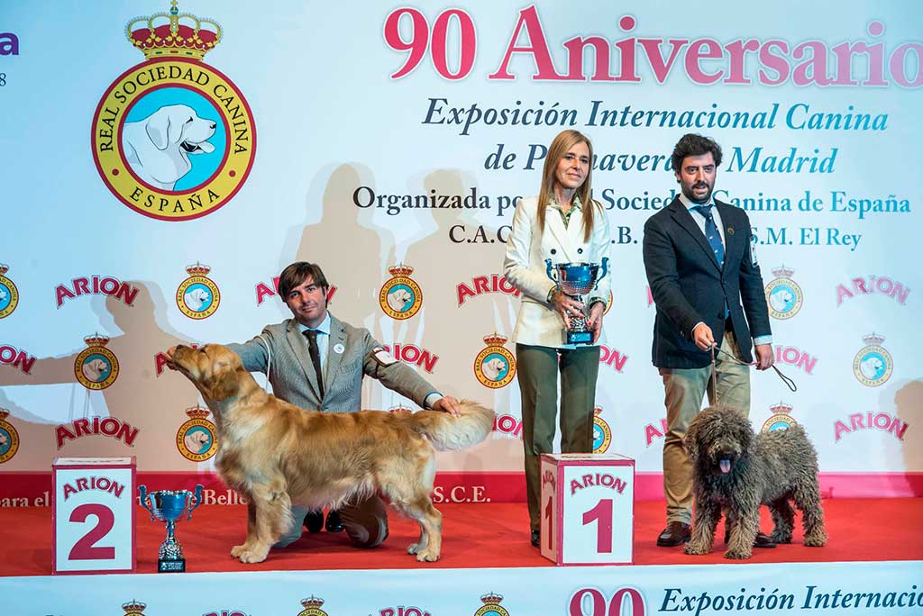 Exposición Internacional Canina de Primavera y de Otoño de Madrid en solo dos días.