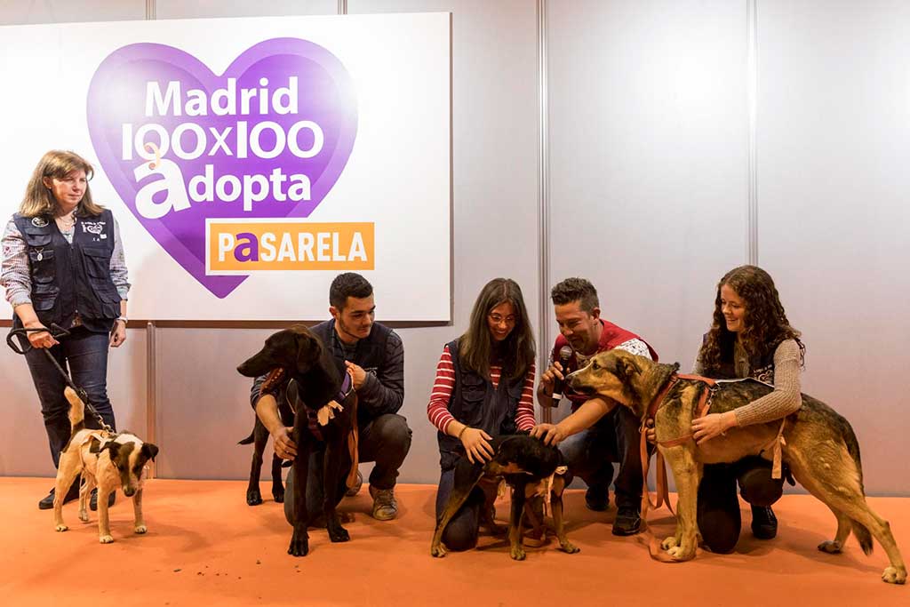  100x100 MASCOTA 2021 convoca la Comunidad de Perros Solidarios