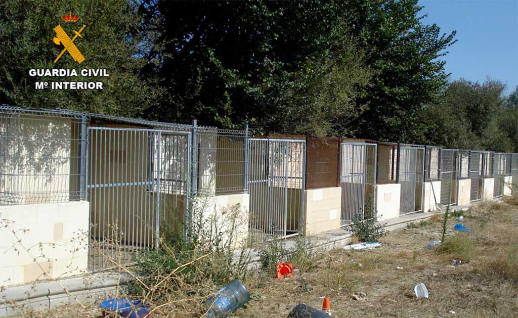 Perros muertos y maltratados en una residencia canina ilegal en Navalcarnero.
